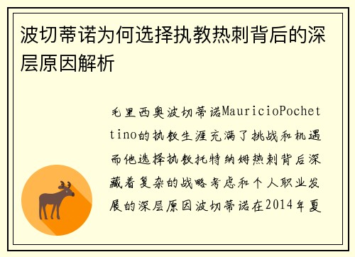 波切蒂诺为何选择执教热刺背后的深层原因解析 波切蒂诺为何选择执教热刺背后的深层原因解析